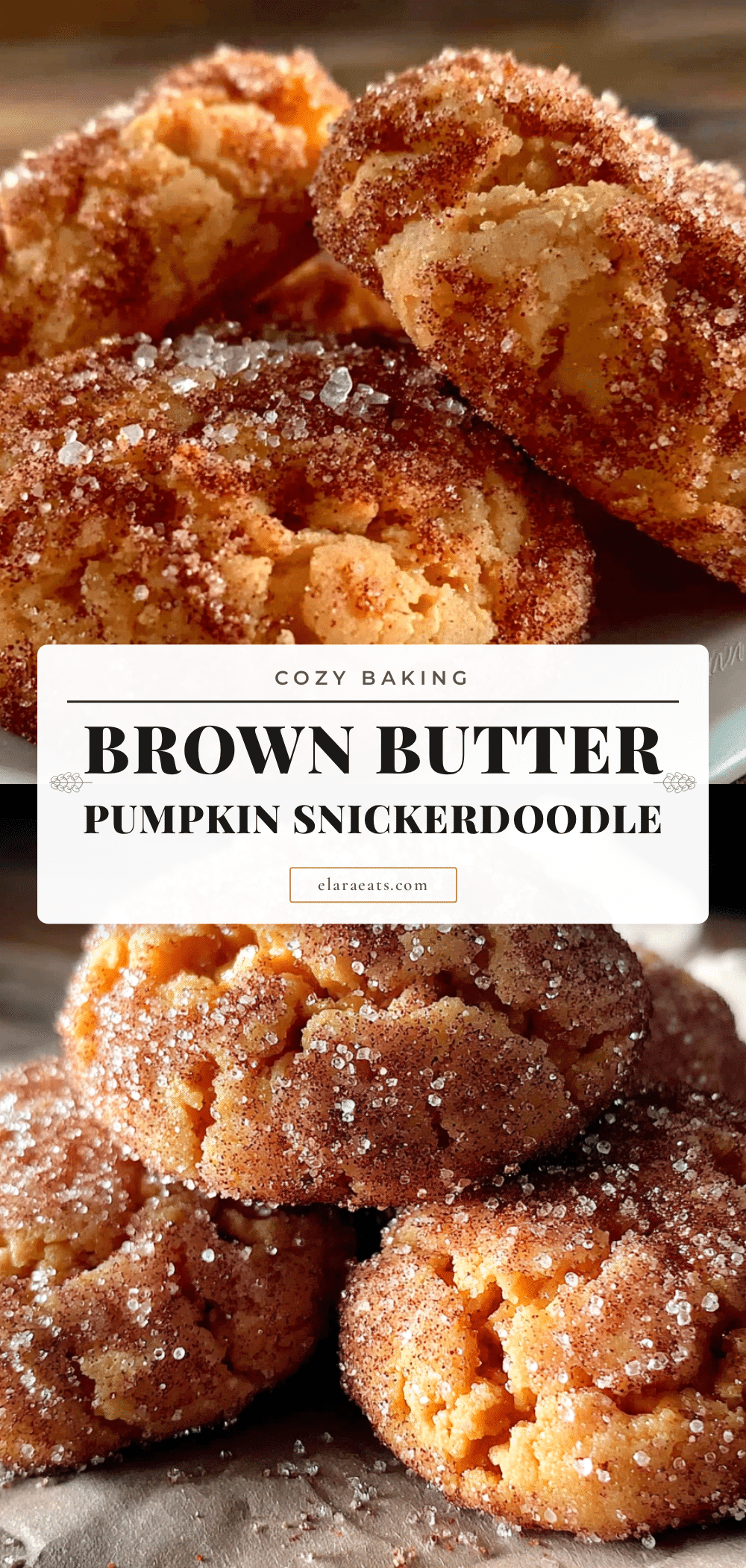 brown butter pumpkin snickerdoodle cookies recipe
