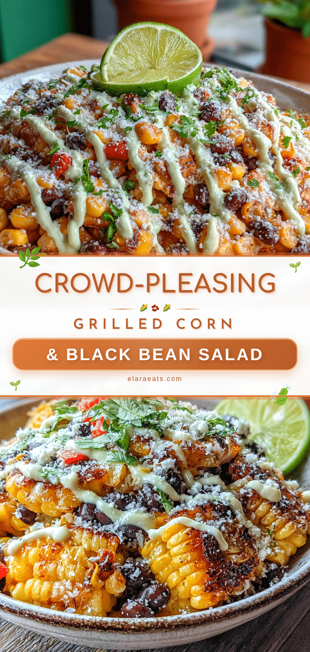 grilled corn and black bean salad recipe