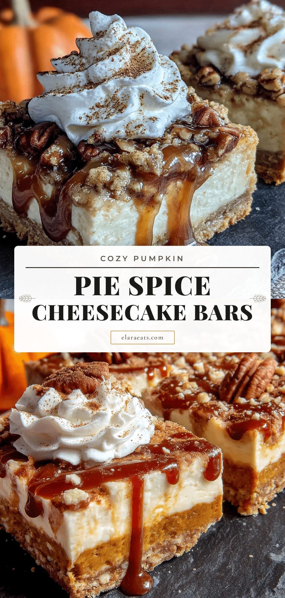pumpkin cheesecake bars recipe