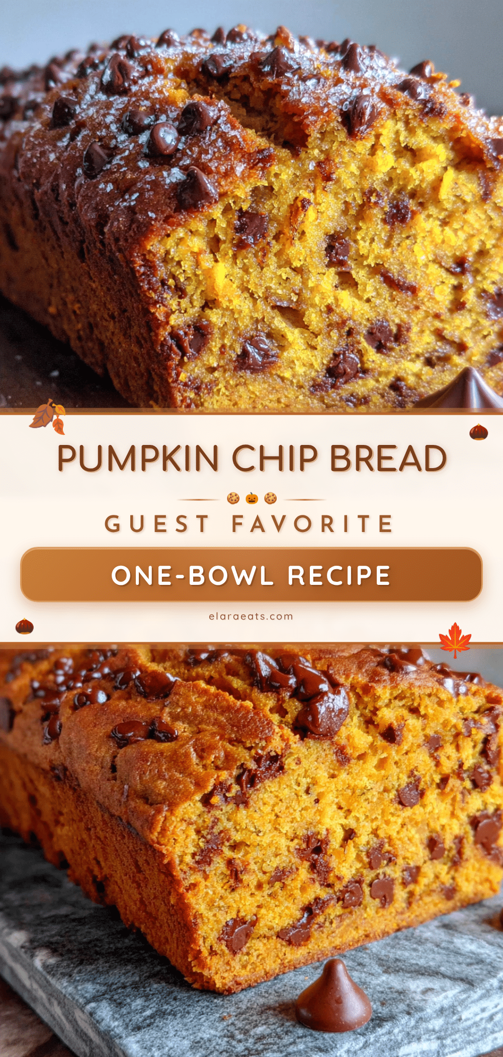 pumpkin chocolate chip bread recipe