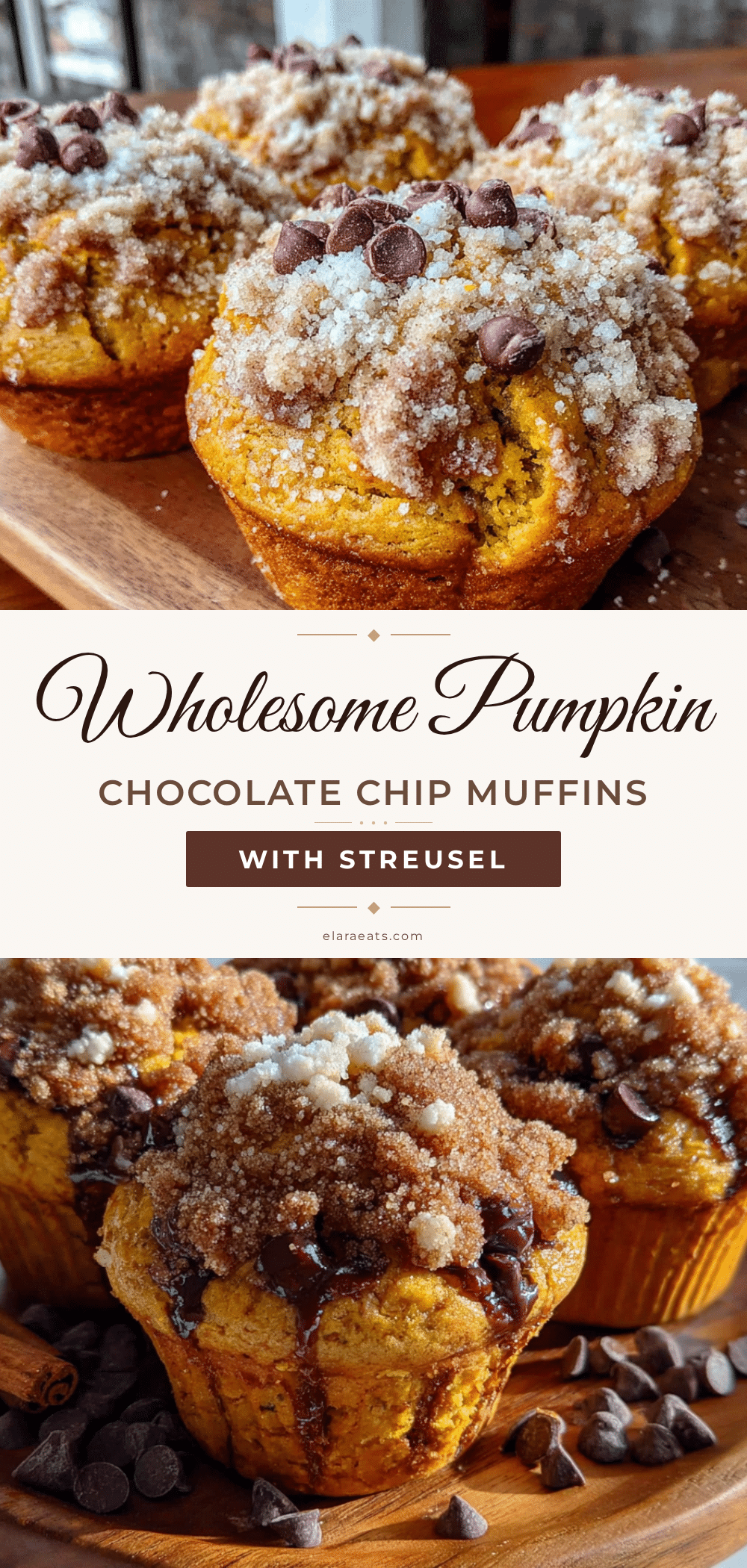 pumpkin chocolate chip muffins recipe