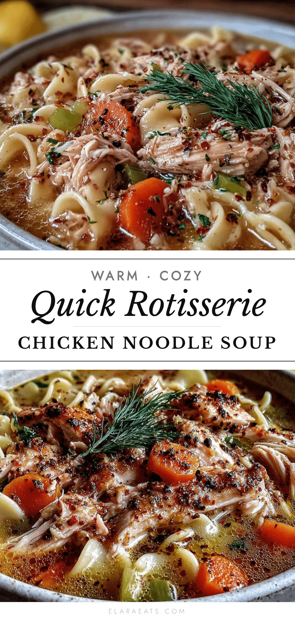 rotisserie chicken noodle soup recipe