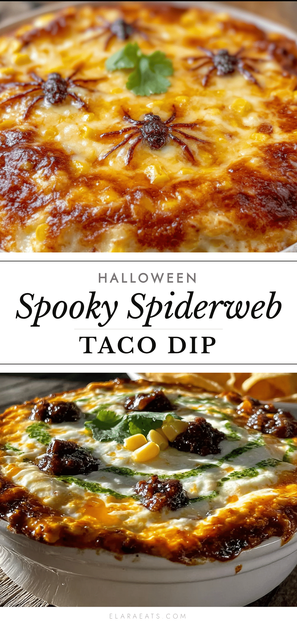 spiderweb taco dip recipe