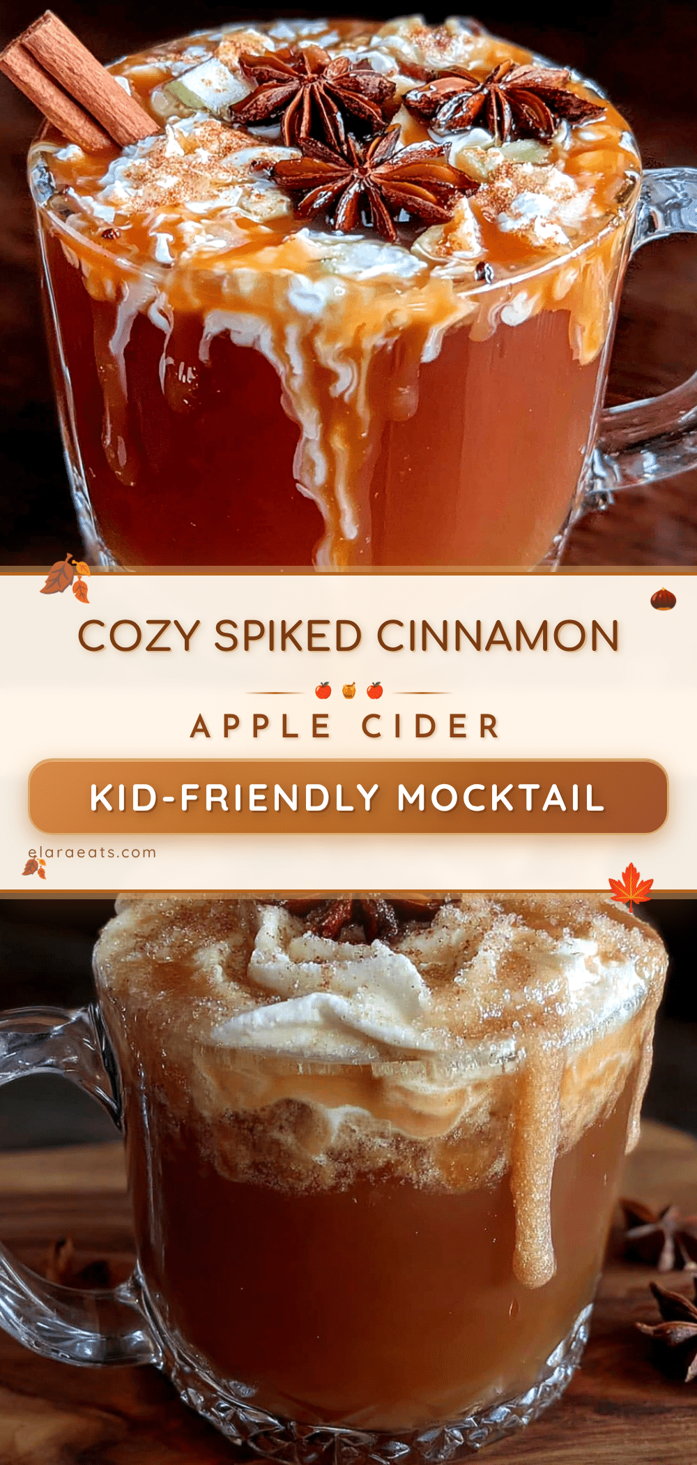 spiked cinnamon apple cider recipe