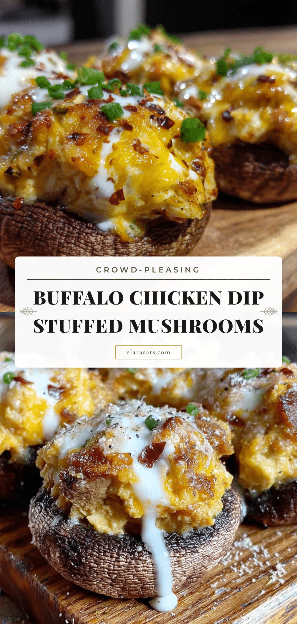 Buffalo chicken dip stuffed mushrooms recipe
