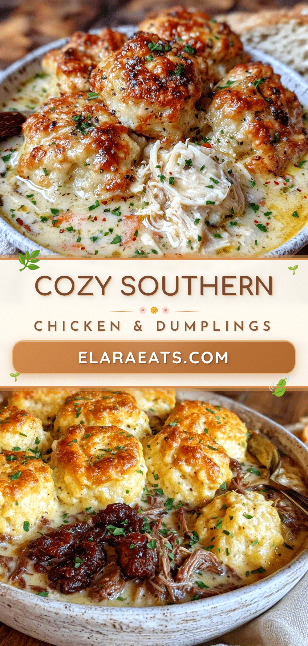 chicken and dumplings with canned biscuits recipe